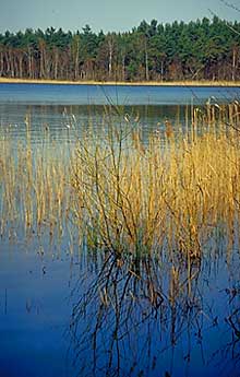 Seenweg in Brandenburg
