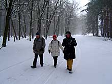 Winter in Brandenburg